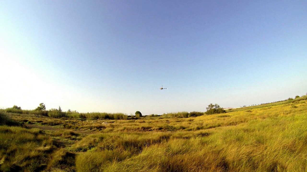 T-rex 500 DFC & Gopro 3 black