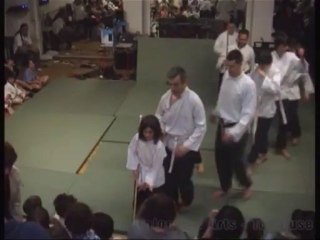 Cours de viet vu dao à Toulouse - spectacle 2013 - Union des Arts -