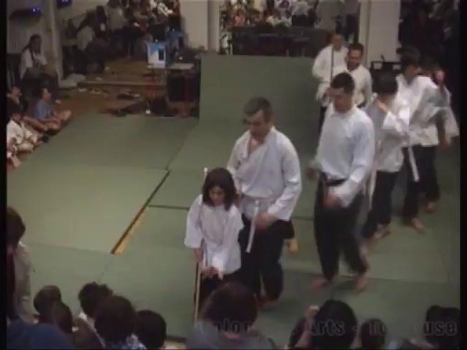 Cours de viet vu dao à Toulouse - spectacle 2013 - Union des Arts -