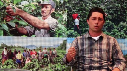 EL CAFE DE COLOMBIA UNA TAZA AMARGA