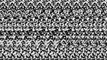Cow cross-eyed stereogram animation