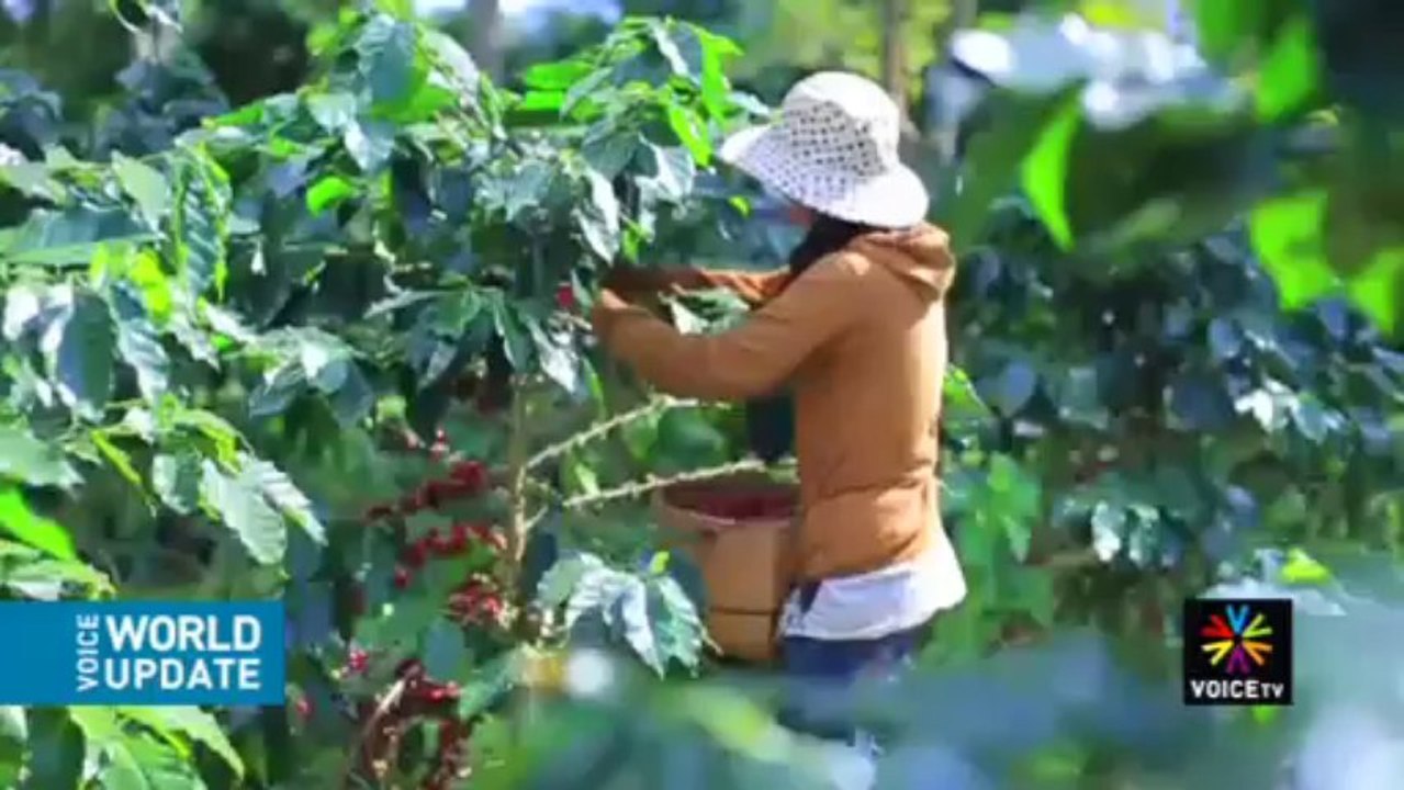 สหรัฐฯใช้โดรนถล่มเยเมน อัลกออิดะห์เสียชีวิต 14 ราย