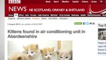 Kittens Left in Air-Conditioning Unit Are Rescued