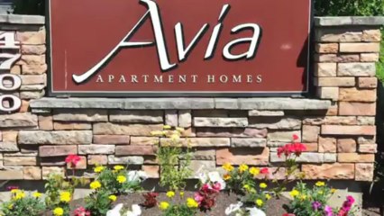 Avia Apartments in Lynnwood, WA - ForRent.com