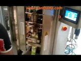 Automatic chips packing machines