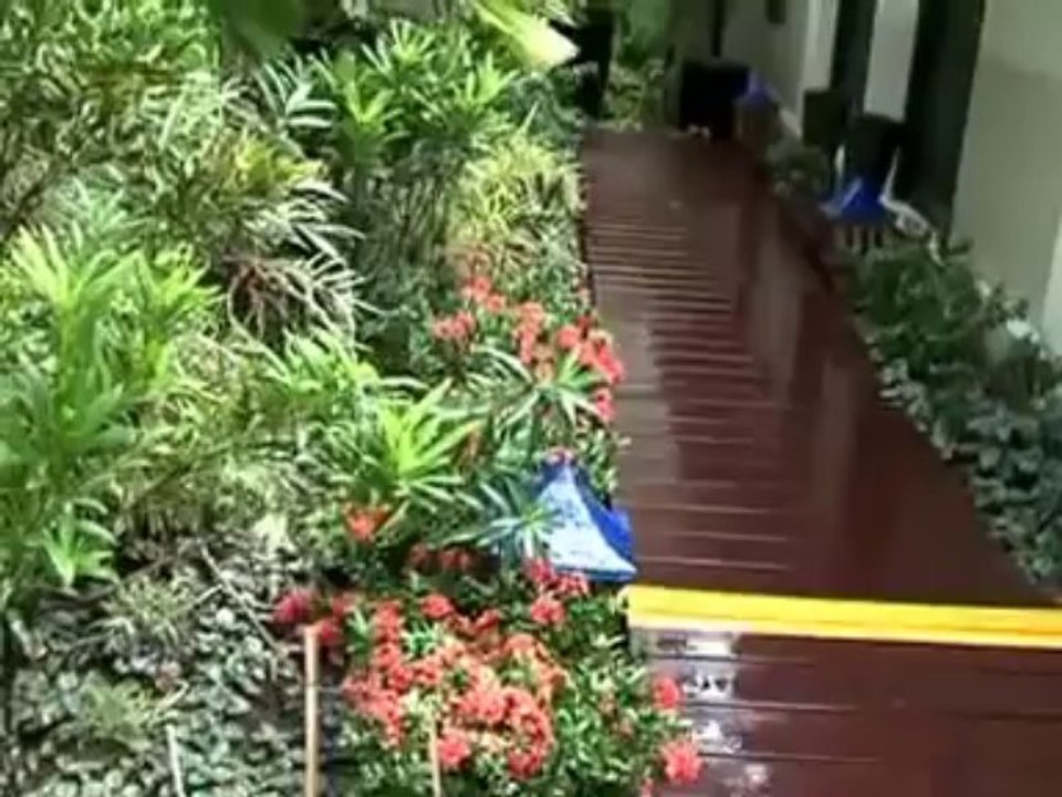 Cleaning at Luang Prabang Hospital and Henri Mouhot Tomb on World Environment Day 2013 by Villa Maly and Nava Mekong members