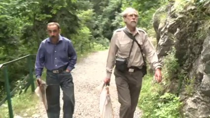 A Frenchman chases butterflies in Pakistan