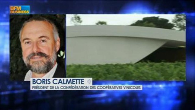 Hervé Mariton, député UMP de la Drôme, dans Le Grand Journal - 8 août 5/6