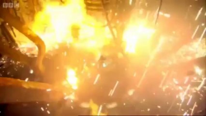 10 regenerates to 11