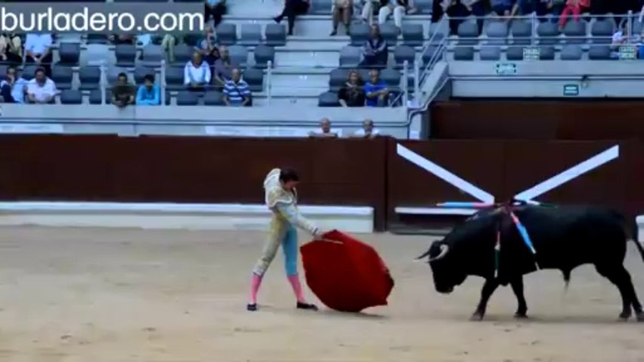 NOVILLADA EN VITORIA