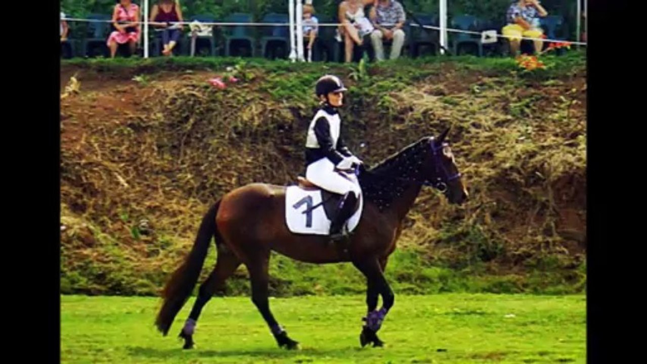Chevaux