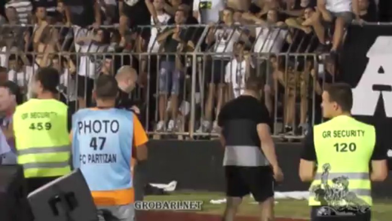 gest fan partizan