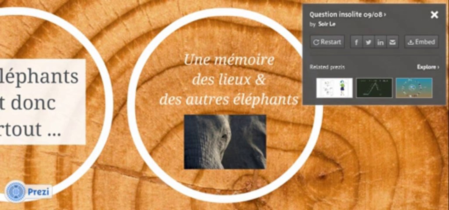 La question insolite : la mémoire des éléphants est-elle un mythe ?