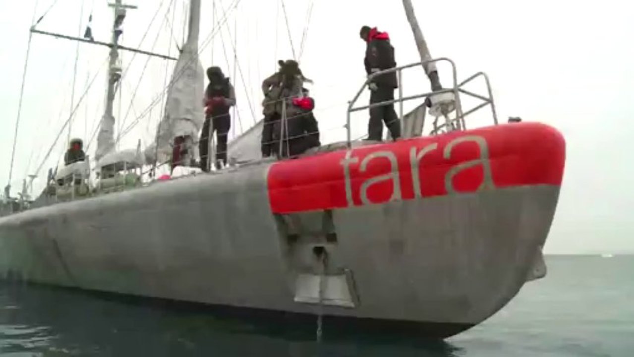 Tara arrive dans la zone de mouillage près de l'île d'Alexandra. Le voilier et son équipage y passeront deux jours © A.Deniaud/francetv nouvelles écritures/Thalassa/Tara Expéditions