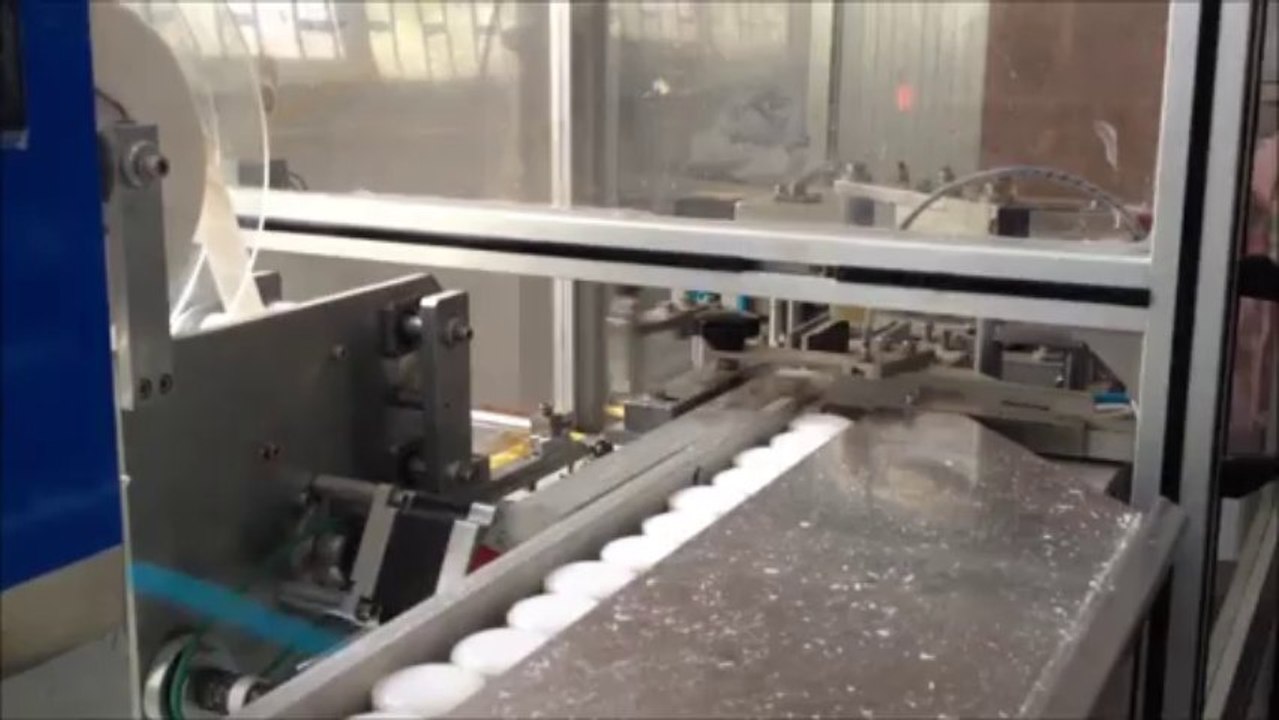 CP3000 Soap Wrapping Machine