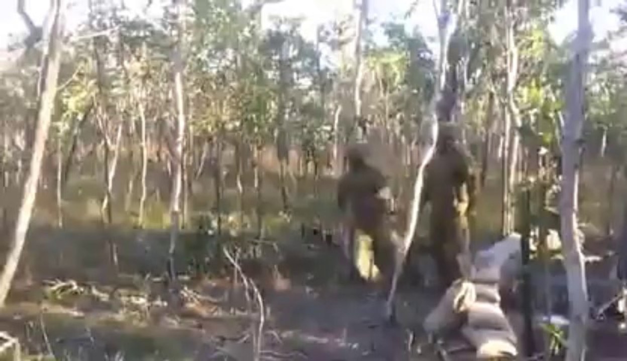 Des militaires plient des arbres en fonçant dessus!! Gros fail du dernier par contre..