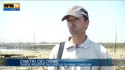 Les plus belles îles de France: le bassin d'Arcachon en Gironde - 09/08