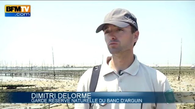 Les plus belles îles de France: le bassin d'Arcachon en Gironde - 09/08