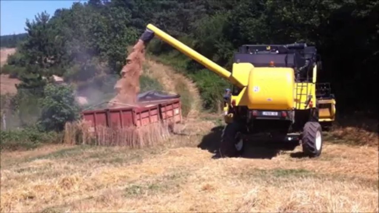Moisson 2013 avec New Holland CS6060
