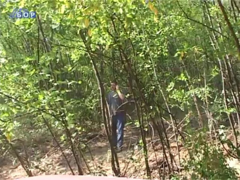 Požar u Oštrelju pod kontrolom, 09. avgust 2013.