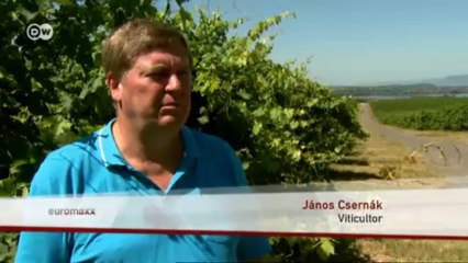 El lago Balaton en Hungría | Euromaxx