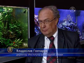 Загрязненная вода в Украине вызывает рак