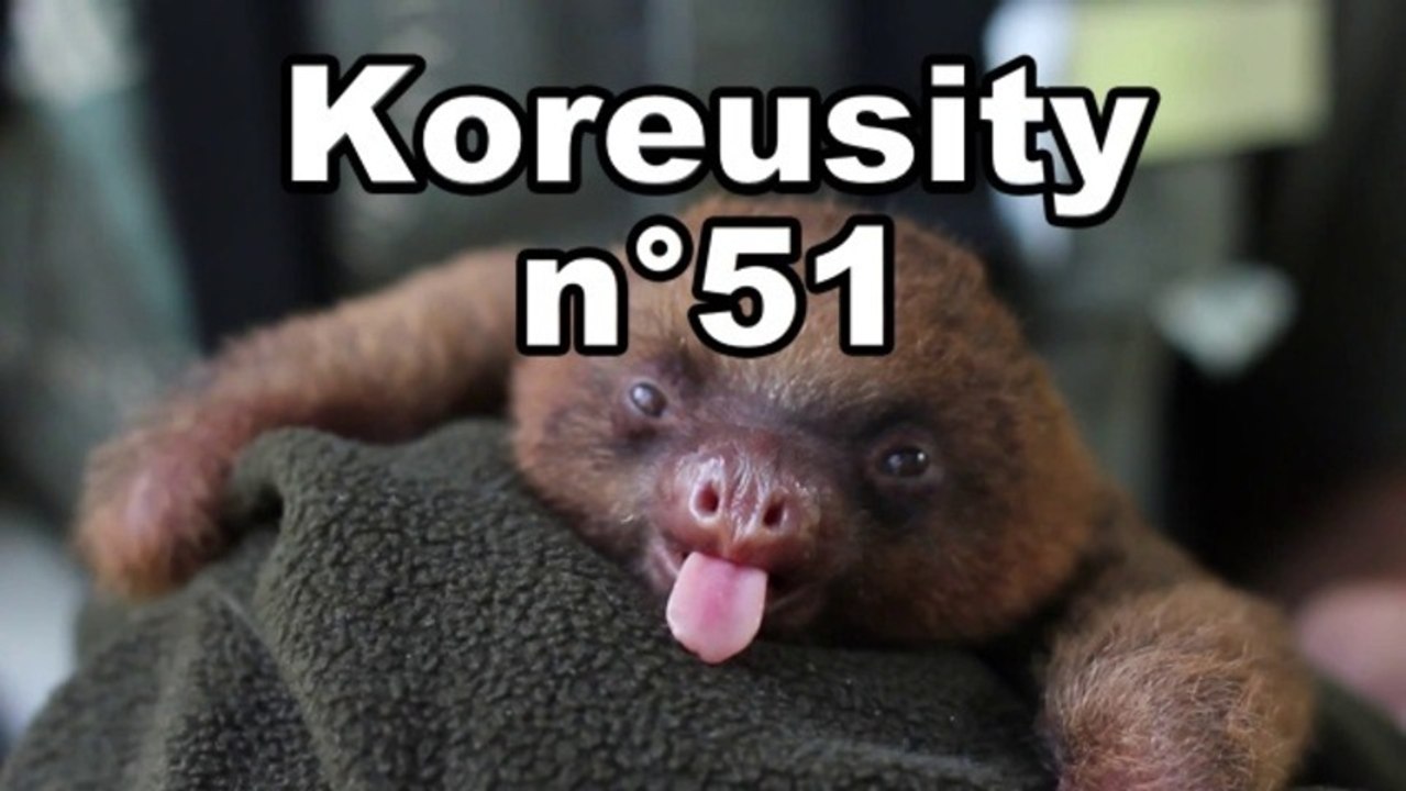 Koreusity n°51