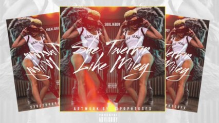 Soulja Boy - She Twerkin' Like Miley (2013)