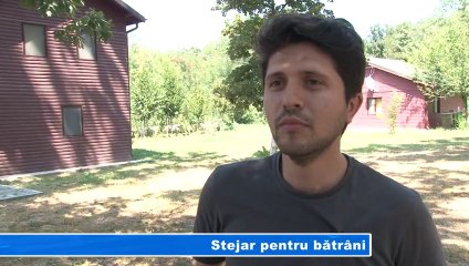 Stejar pentru batrani