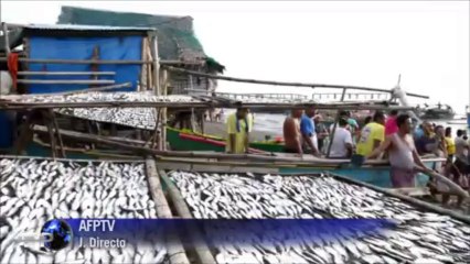 Livelihoods jeapordised after huge oil spill in Philippines