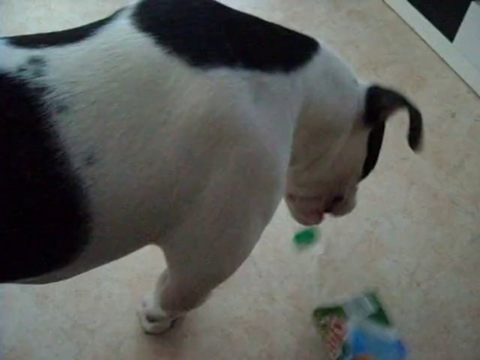 DSCN8567