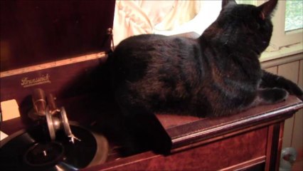 William Tell Overture