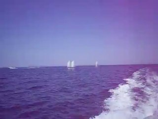 scuola di Vela Pantelleria