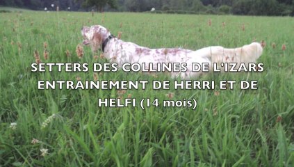 Herri et Helfi des  Collines de l'Izars
