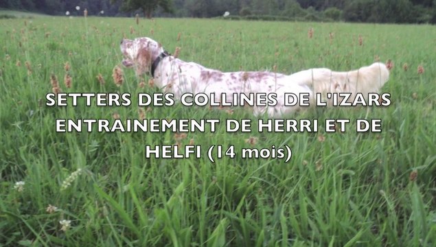 Herri et Helfi des Collines de l'Izars