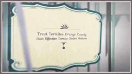 Termite Control Orange County