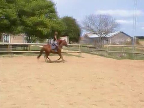 Séance 5 août - CSO 5