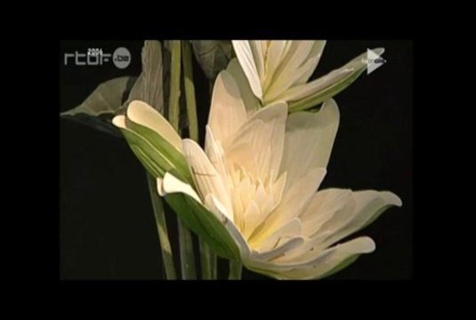 Sagesse avec Matthieu Ricard (2)