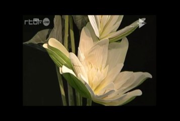 Sagesse avec Matthieu Ricard (2)