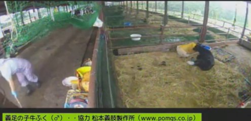 20130801　岡田さん、ナナちゃん、銀ちゃん