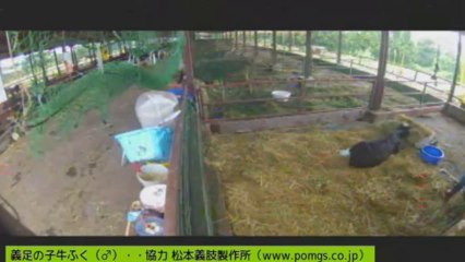 20130804　カメラマン、しずお姉さん、ありりさん、ぎんちゃん