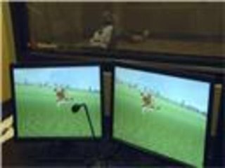 تعزيز قدرة الإنسان على التركيز والمحاكاة