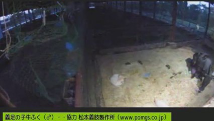 20130806-07  ナナちゃんと