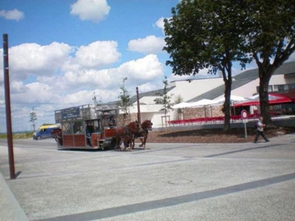 Marée haute au mont-saint-Michel - Les bouchots .