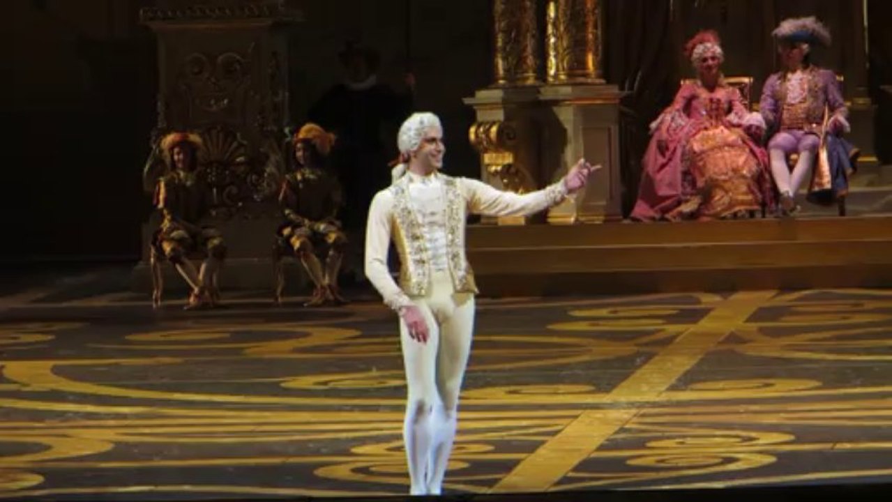 Николай Цискаридзе -  Спящая красавица - Вариация Дезире - 16.03.2013