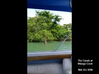 Property in Belize |The Canals at Mango Creek |904-321-9290