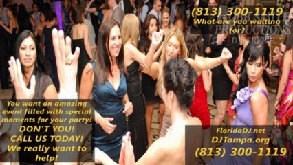 Palm Harbor Holiday DJ - Robb Smith Productions - 813-300-1119