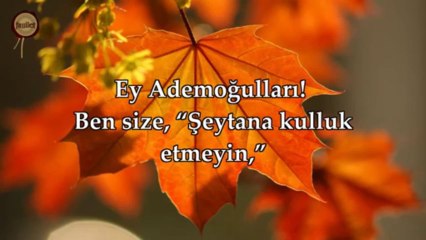 Allah, insanları Şeytan'a karşı nasıl uyarıyor! [Yasin Suresi 60-61 - Ebubekir Şatıri]