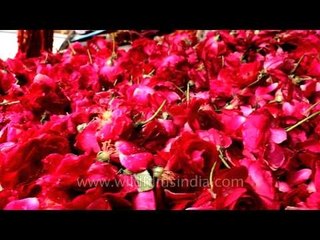 Rose flowers for sale at Nizamuddin Dargah during Iftar