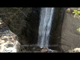 Walking along the drying river: Gangotri to Mukhba